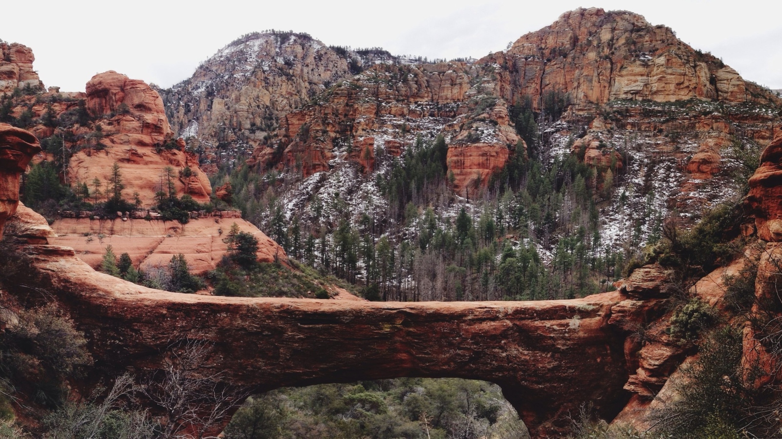 Мост через ущелье