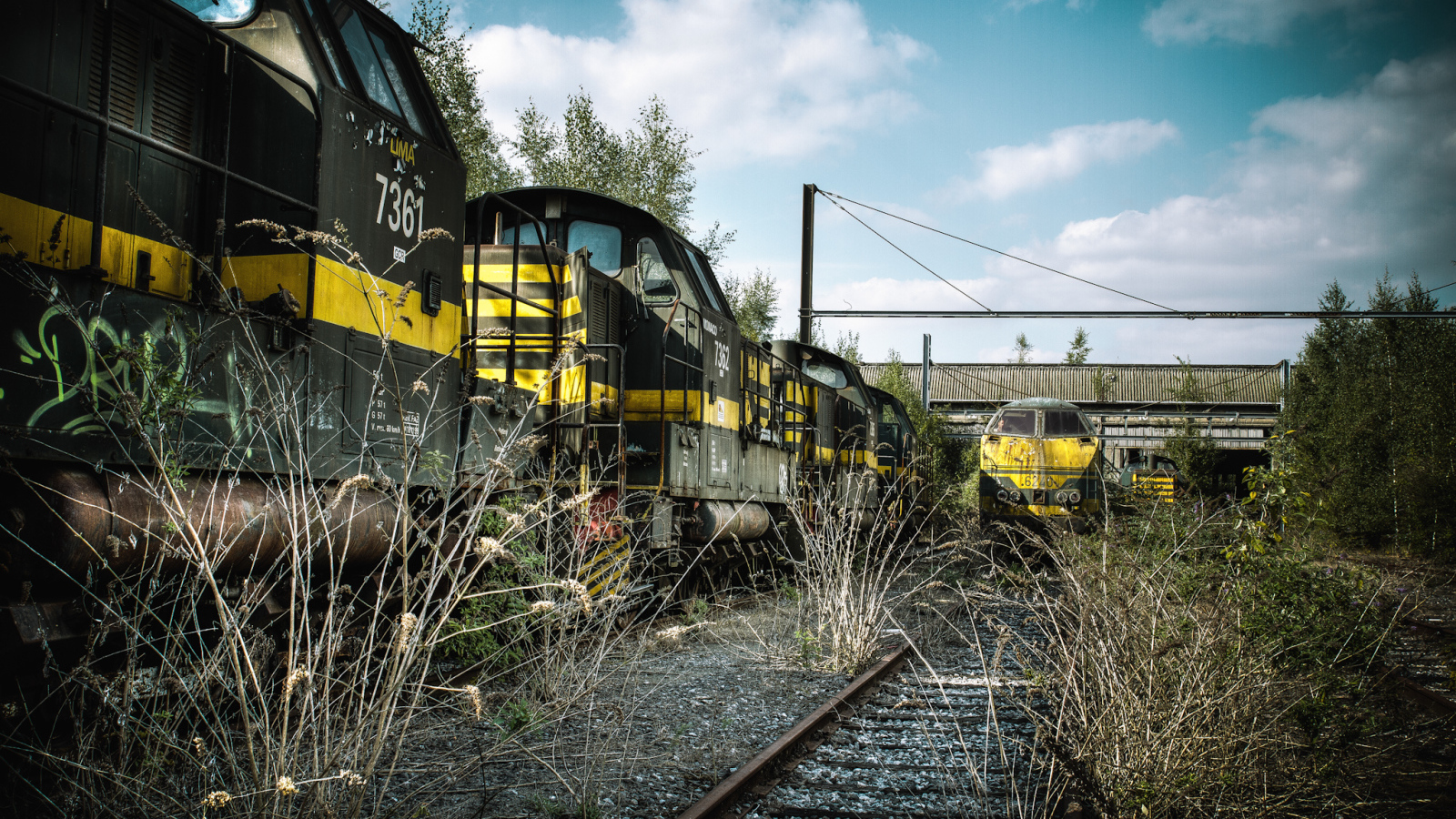 Старая заросшая травой железная дорога