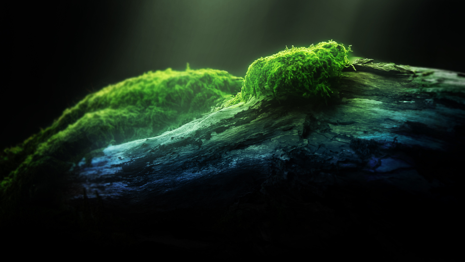 Зеленый мох