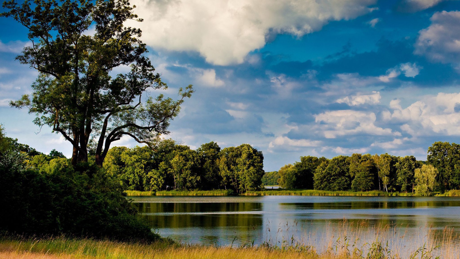 Озеро среди лугов