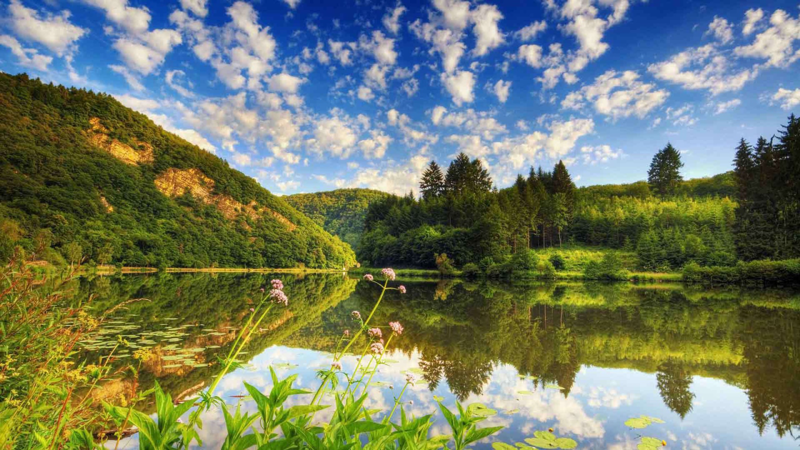 Озеро среди лесистых холмов