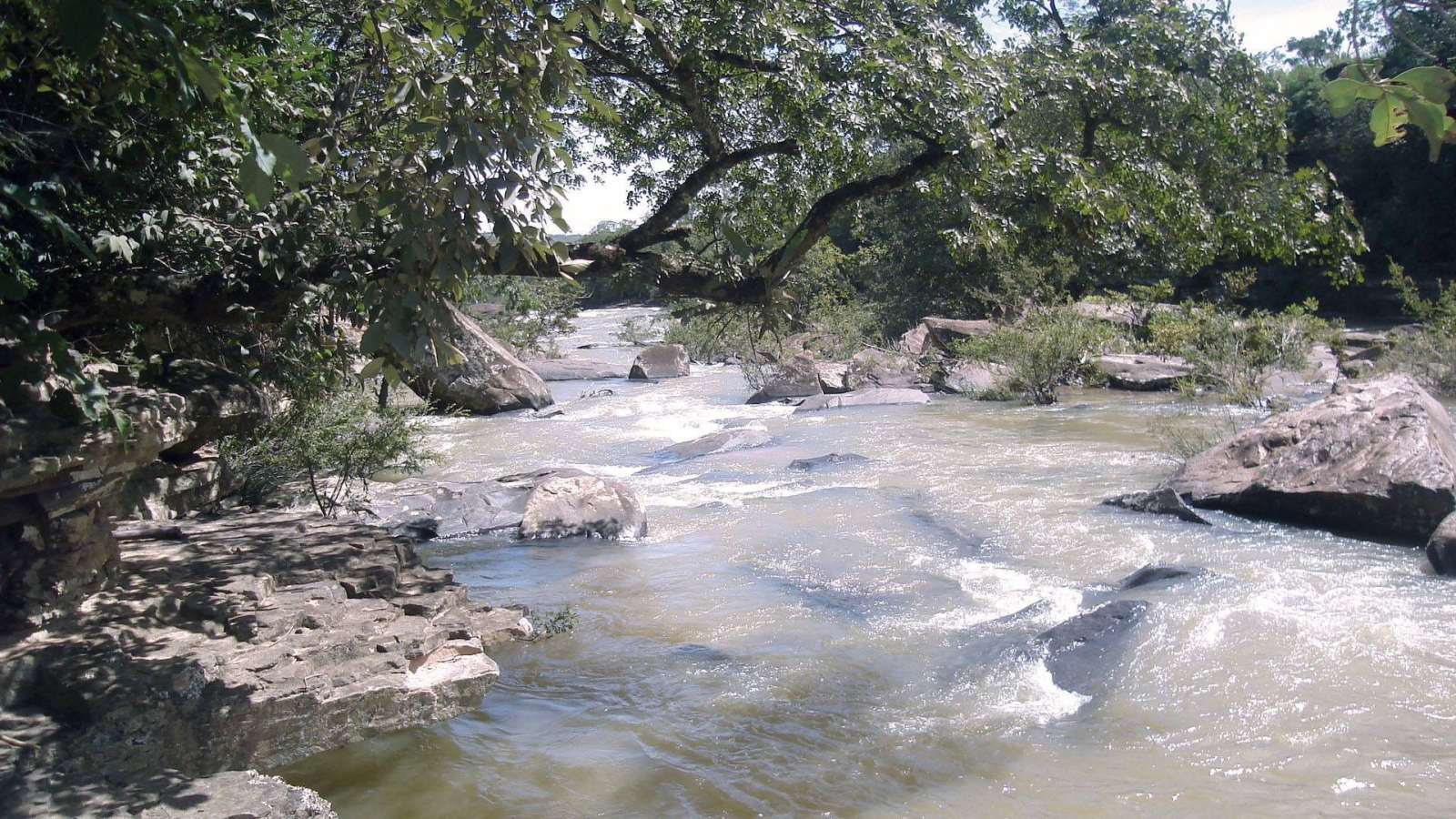 Rocky river with trees on the shore