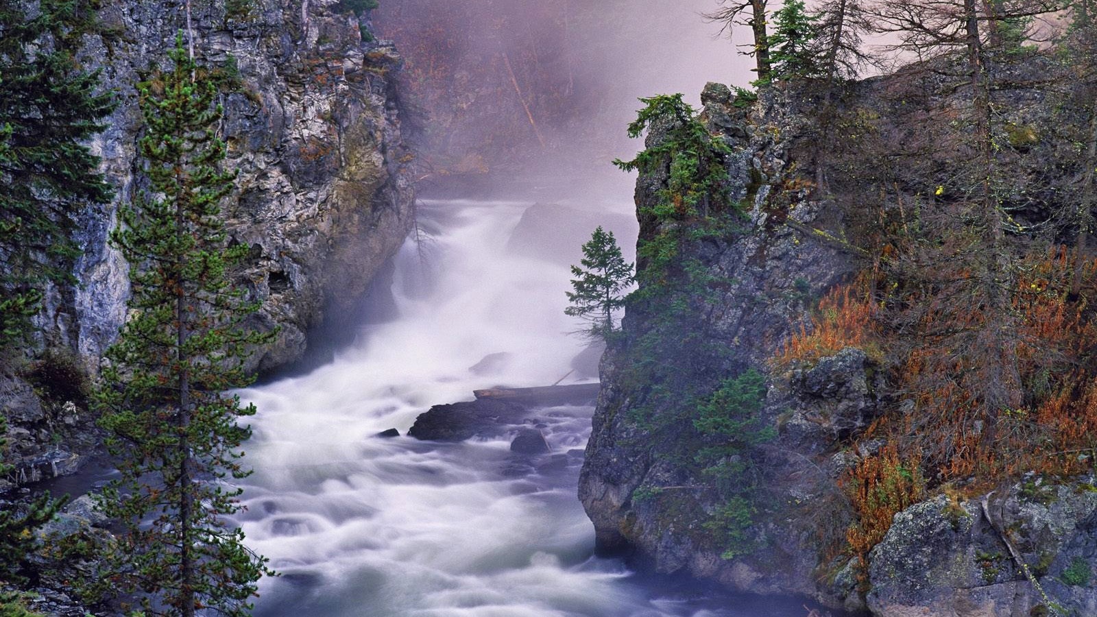 Бурная река в ущелье гор