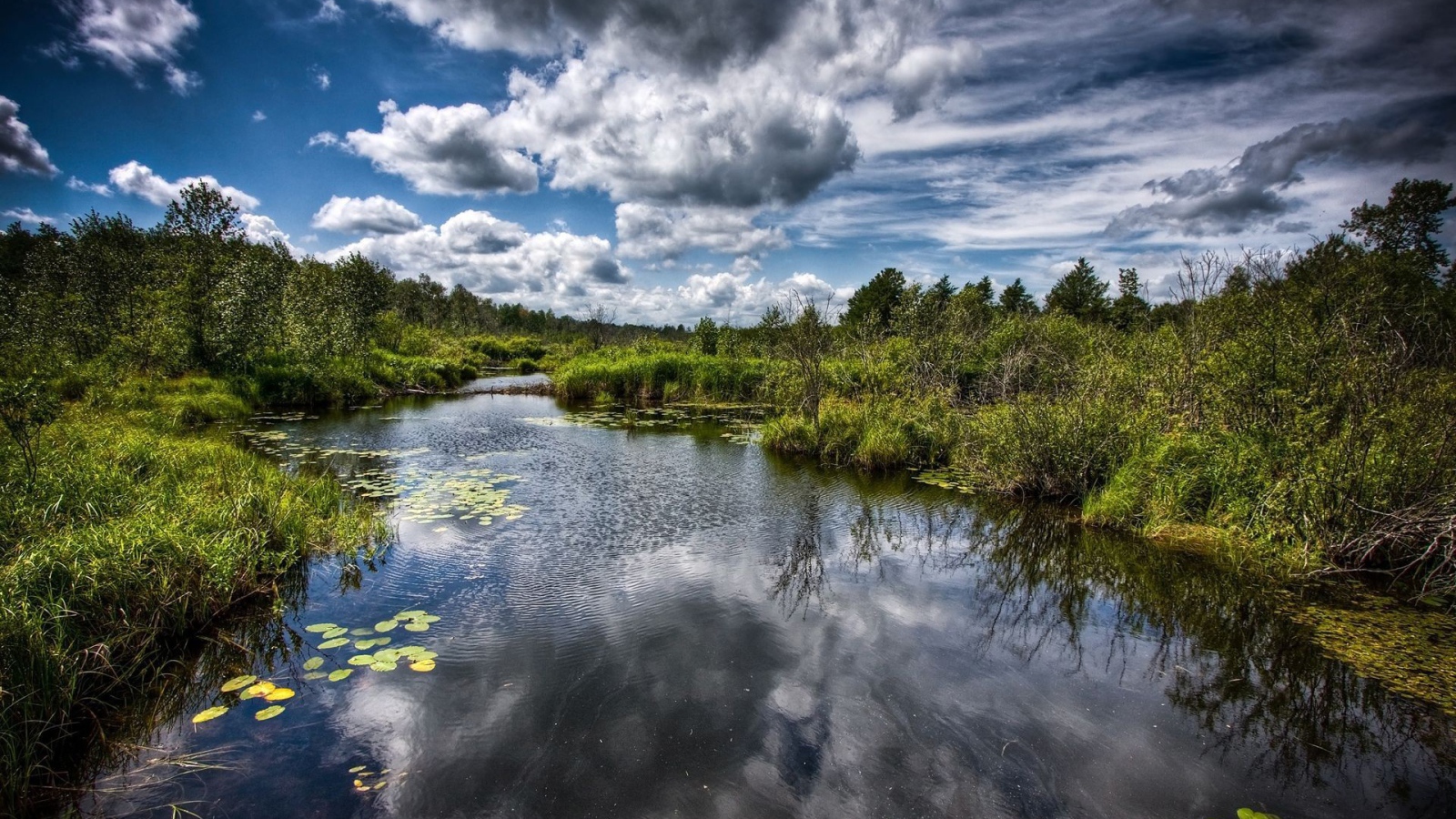 Река превращается в болото