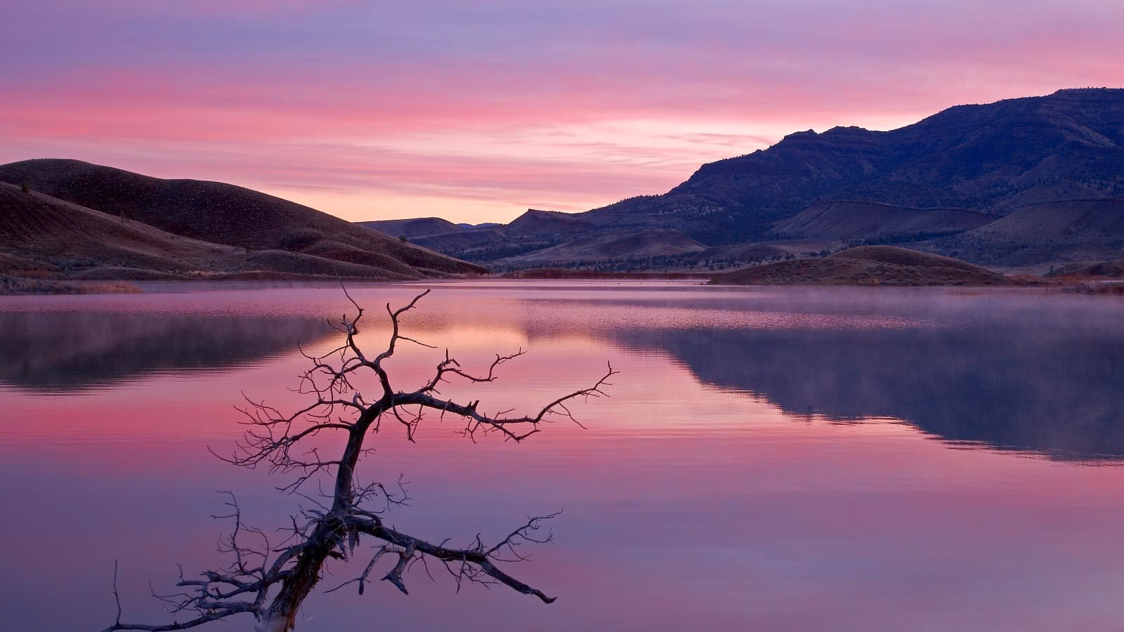 Природа в розовых тонах