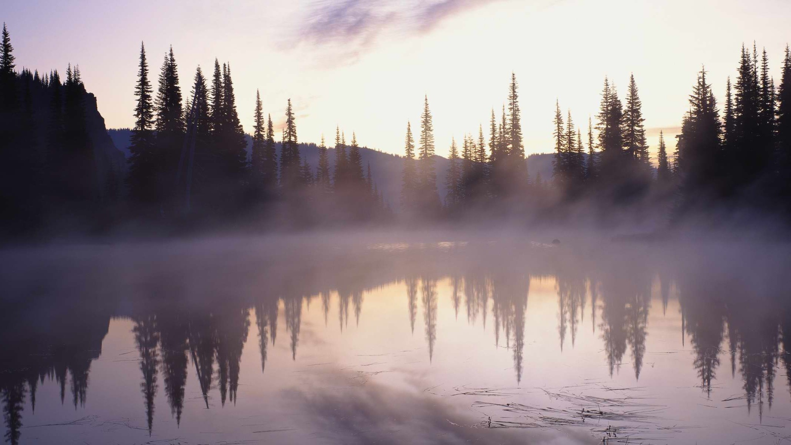 Туман над озером