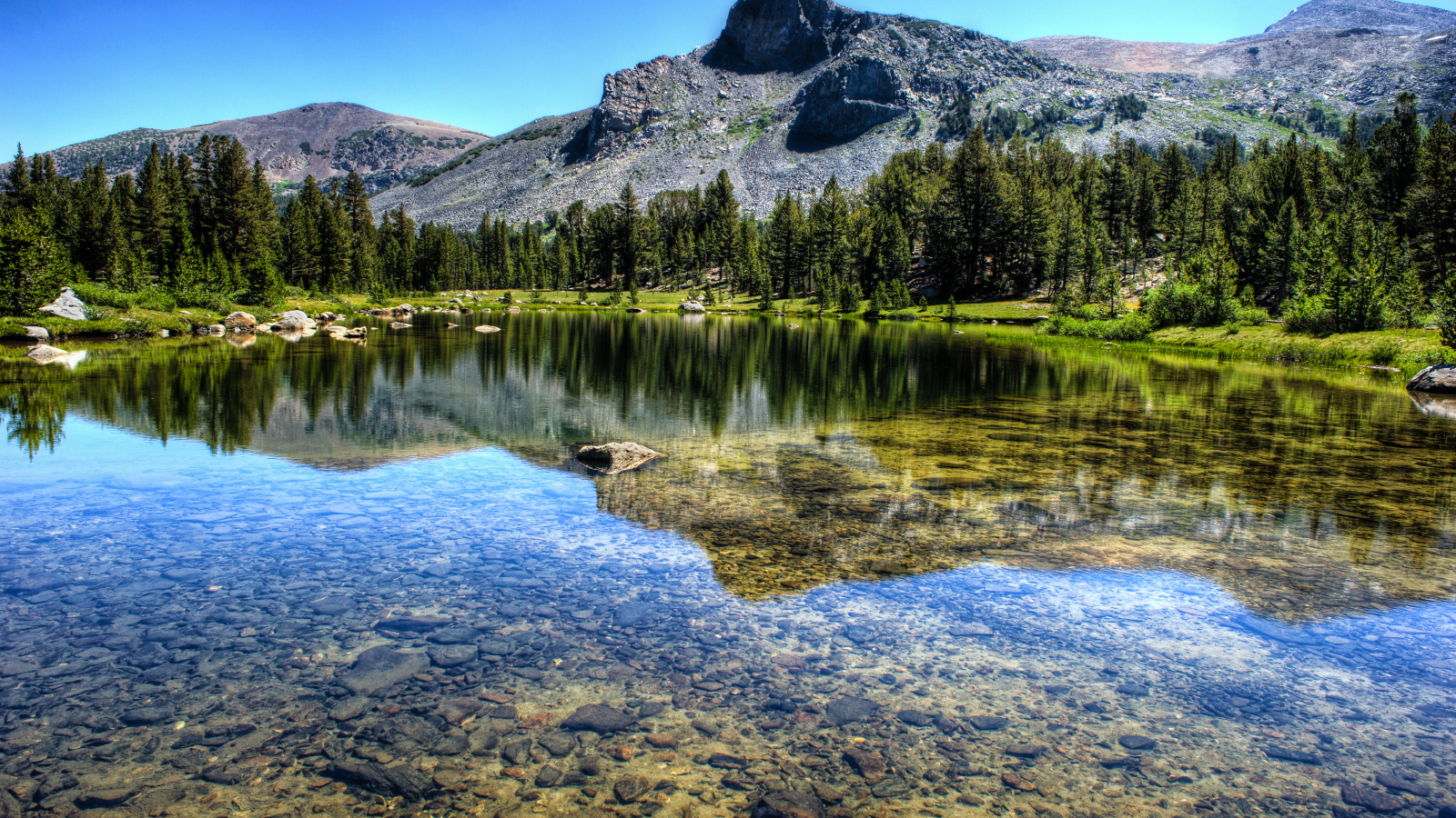 Прозрачная река