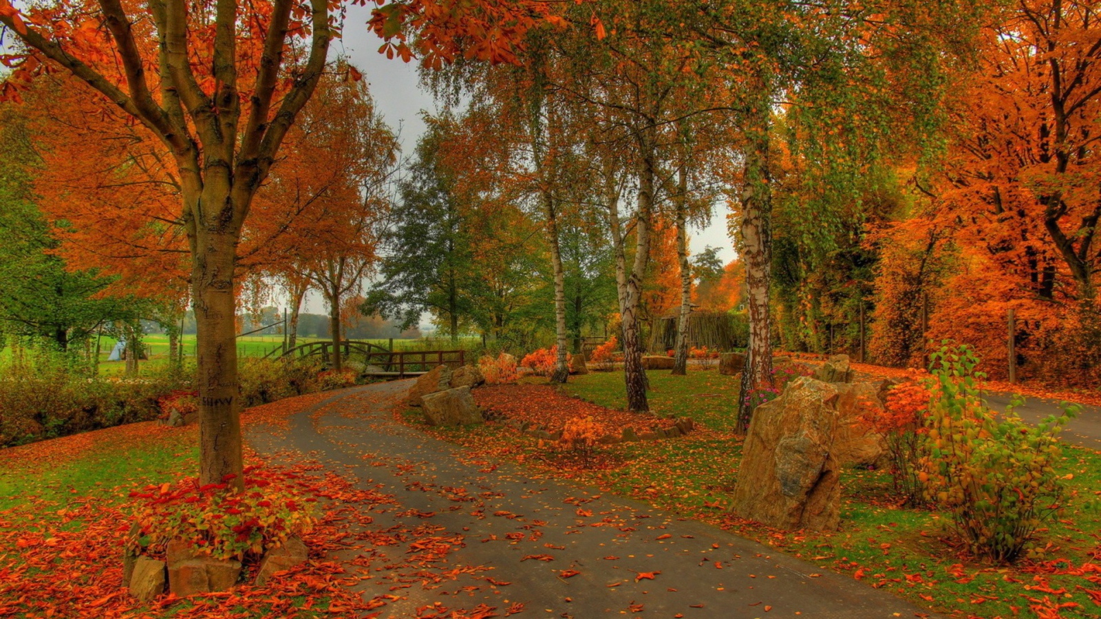 Дорога по осеннему лесу