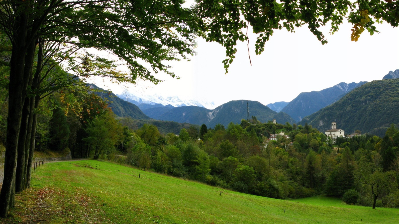 Красивая весенняя поляна