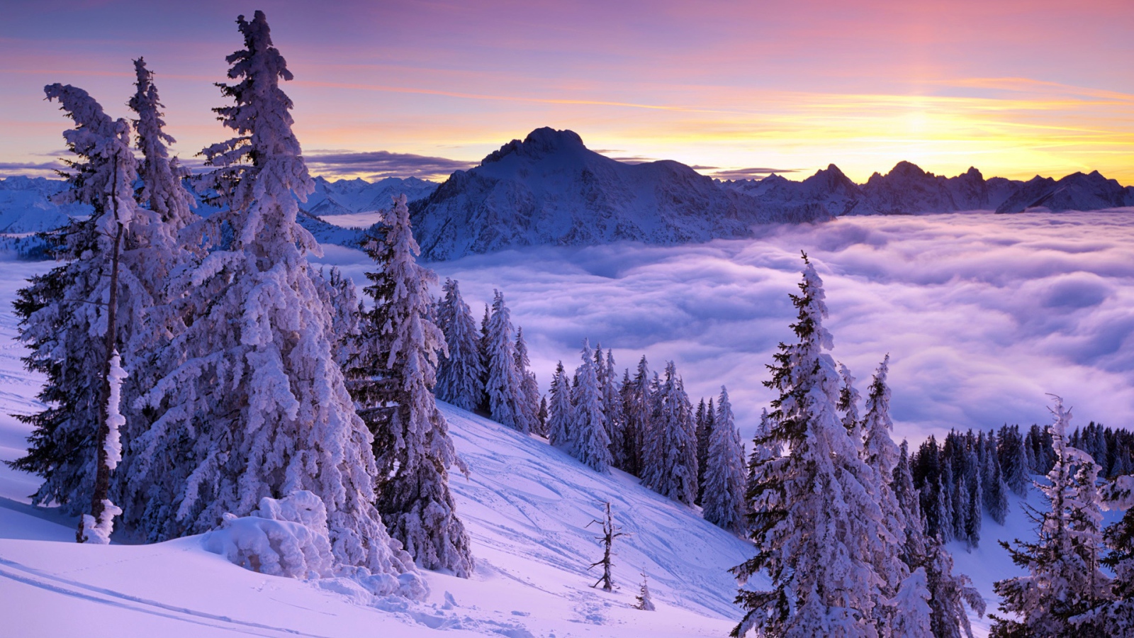 Фиолетовый зимний закат 