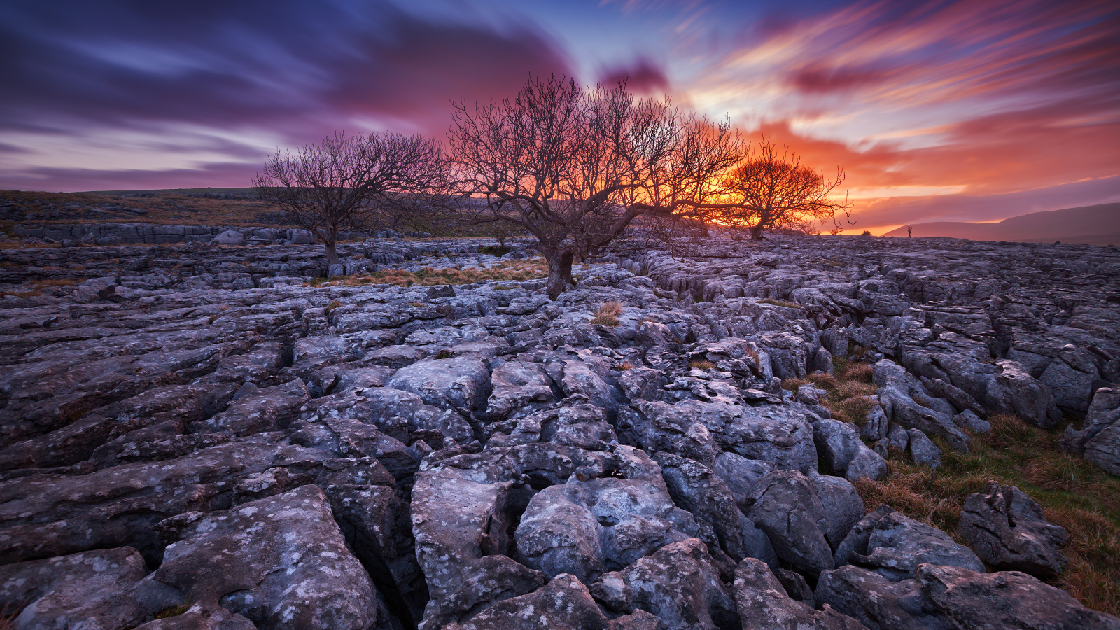 Закат и сухие деревья