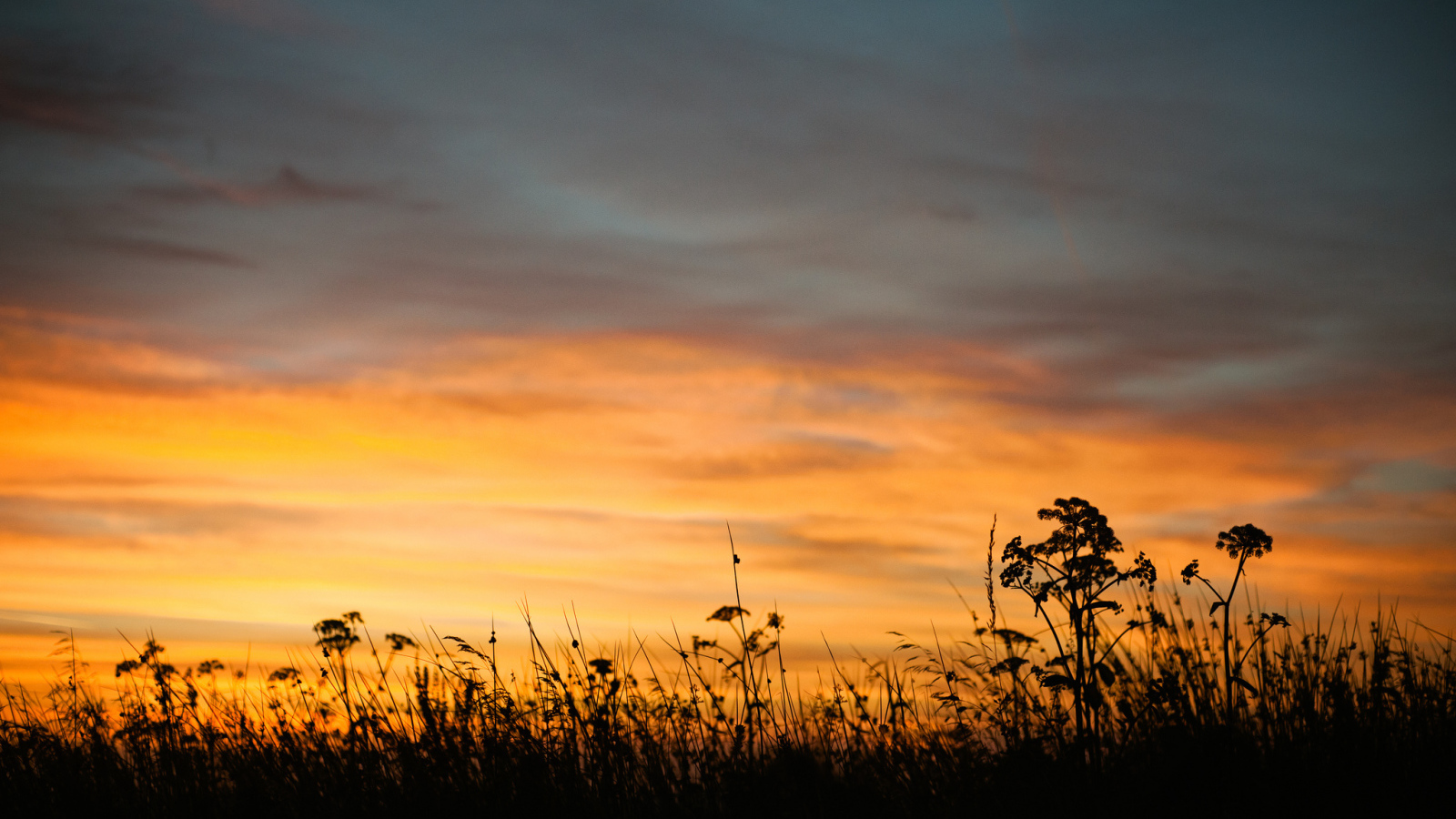 Летний закат