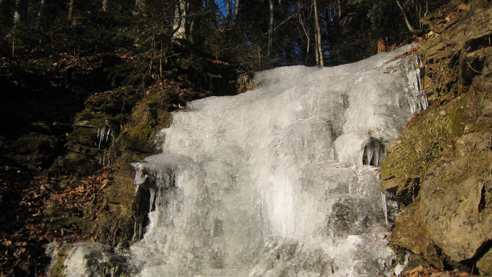 Замерзший водопад в лесу