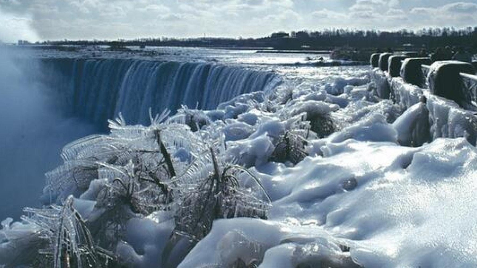 Обледеневшие растения на фоне замерзшего водопада