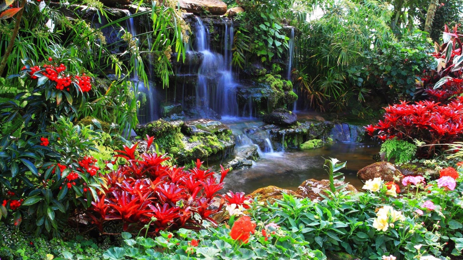 Red flowers at the waterfall
