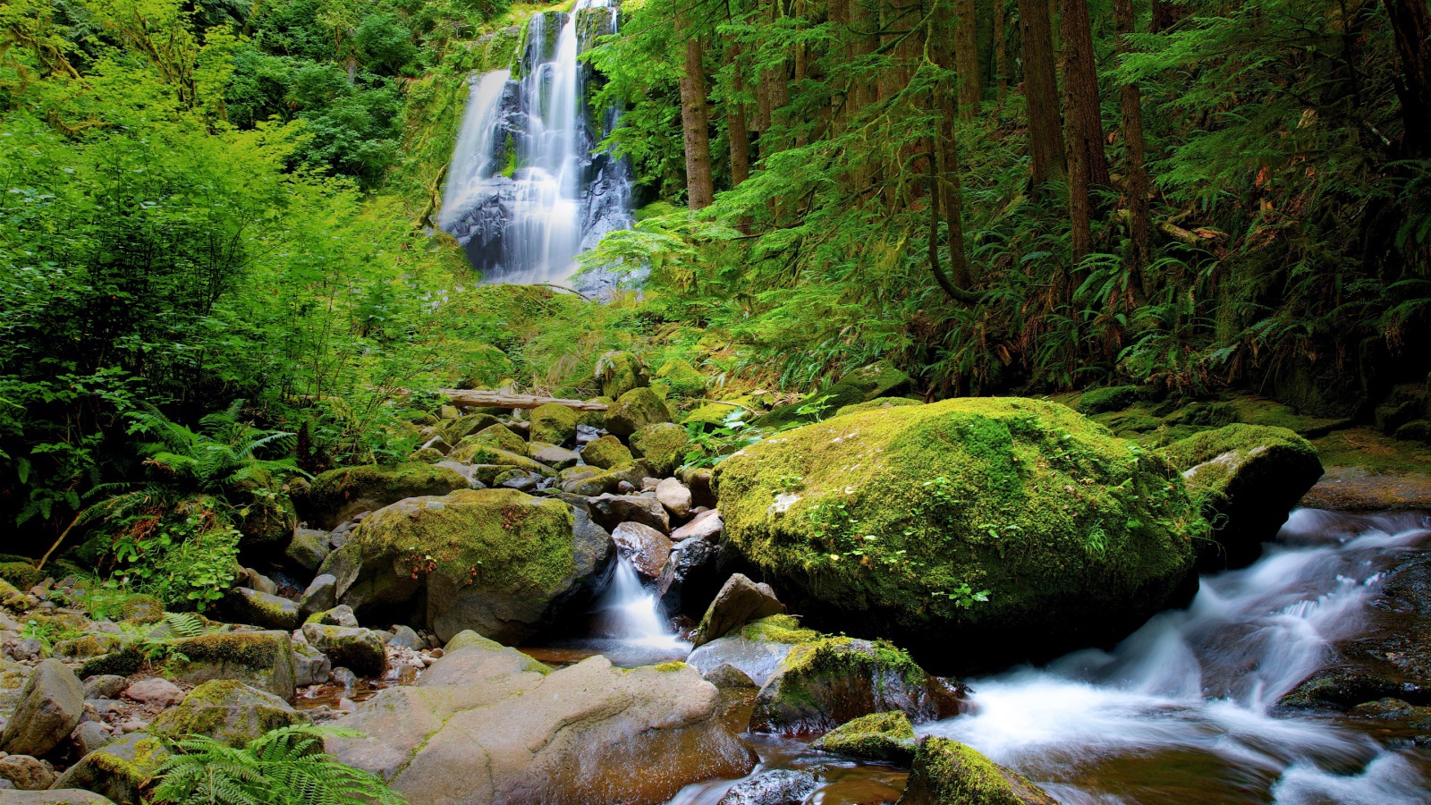 Водопад в густом лесу
