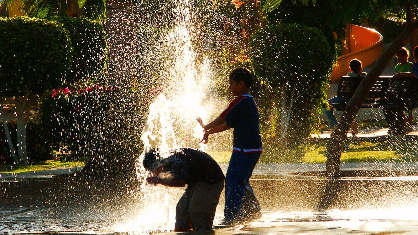 Дети обливаются водой
