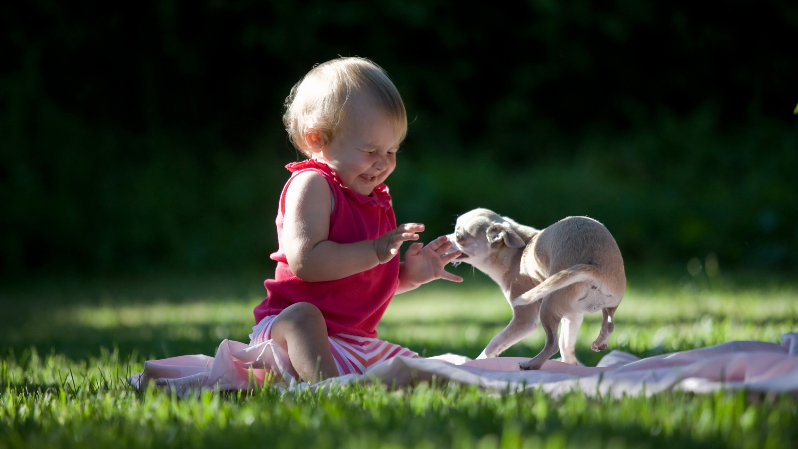 The child plays with dog