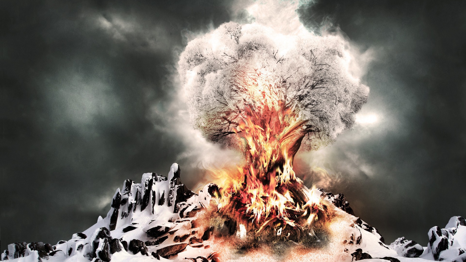 Горящее дерево