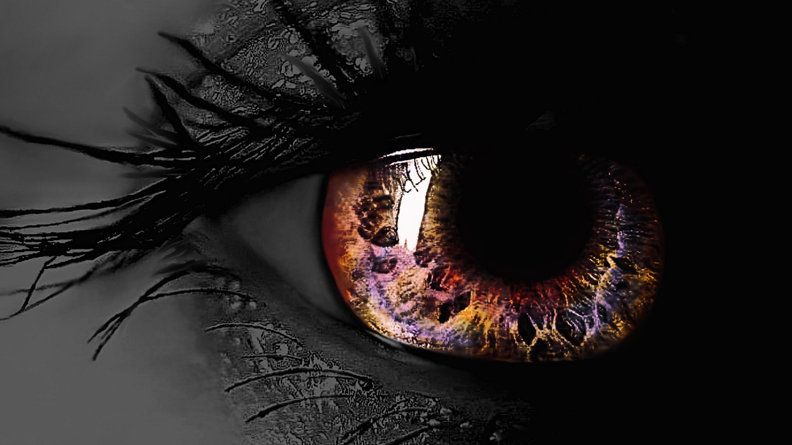 Разноцветный глаз