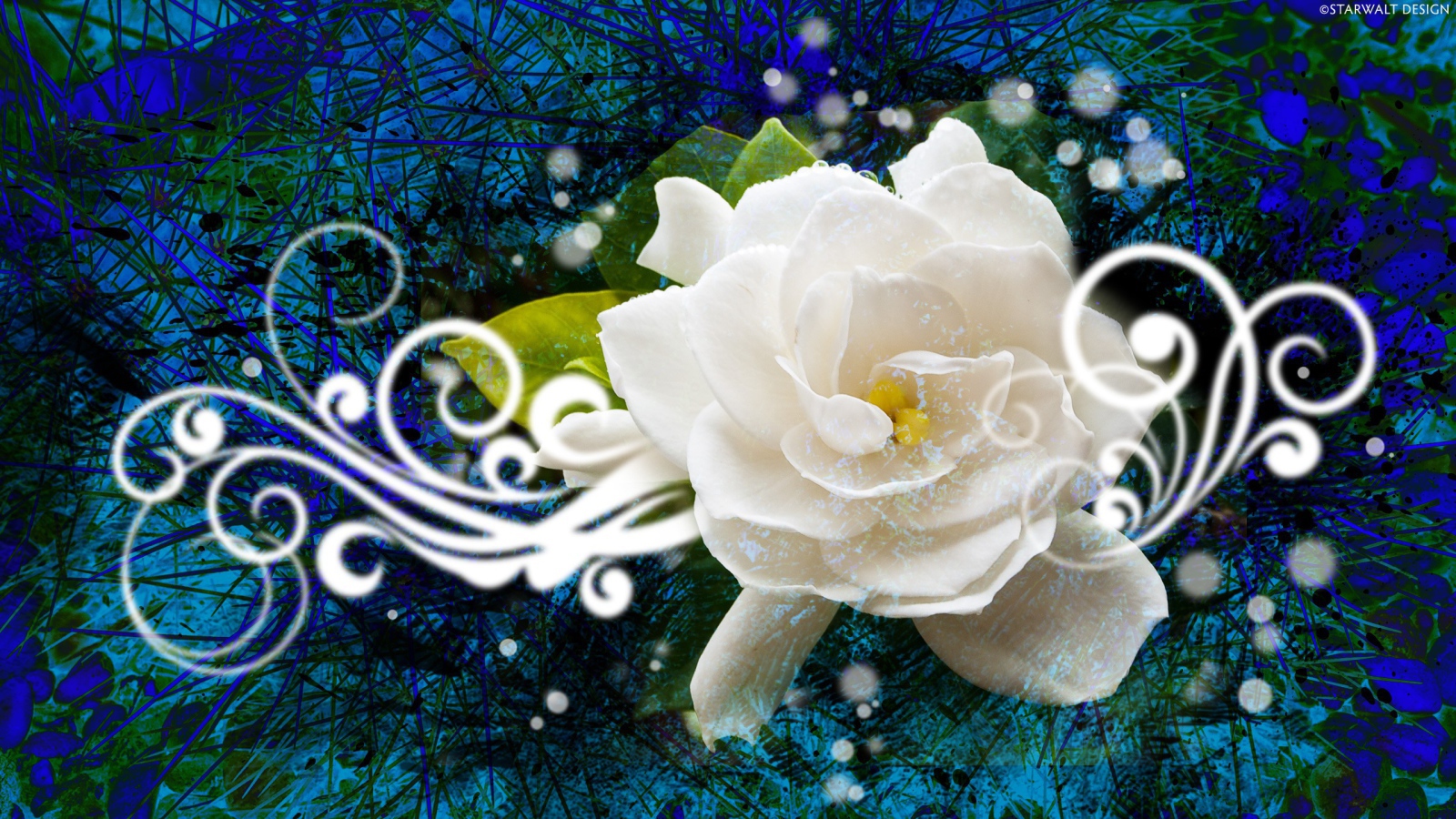 Абстракция с белой розой