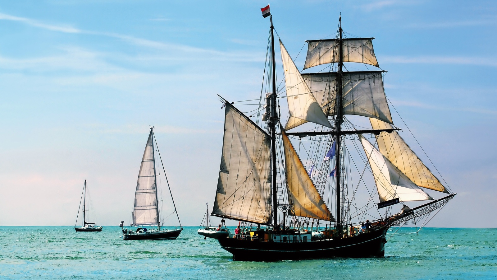 Плеяда парусников в море