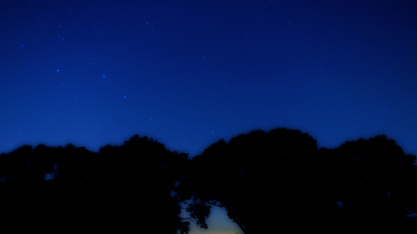 Созвездие Большая медведица