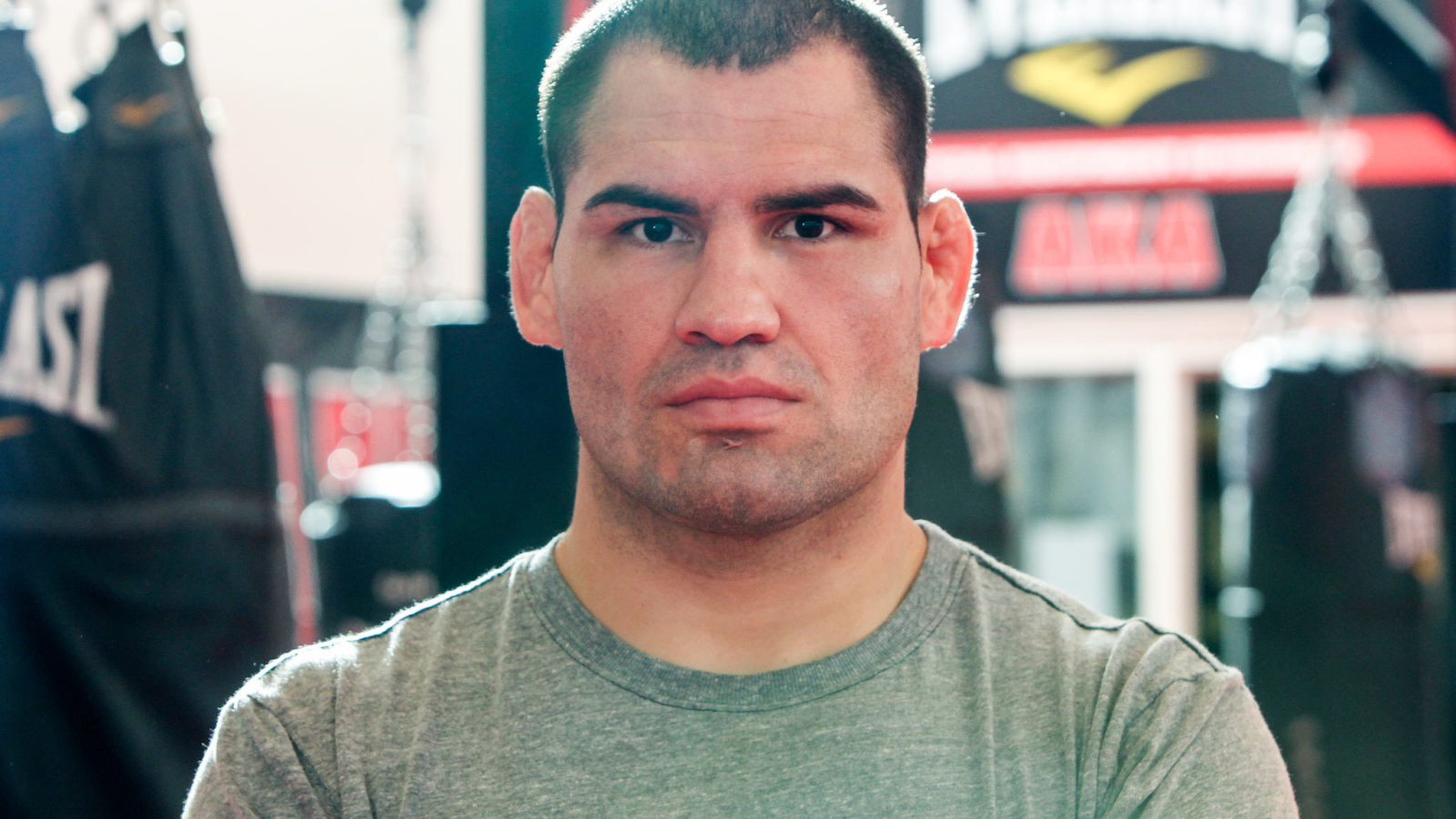 UFC Боец Джуниор Дос Сантос