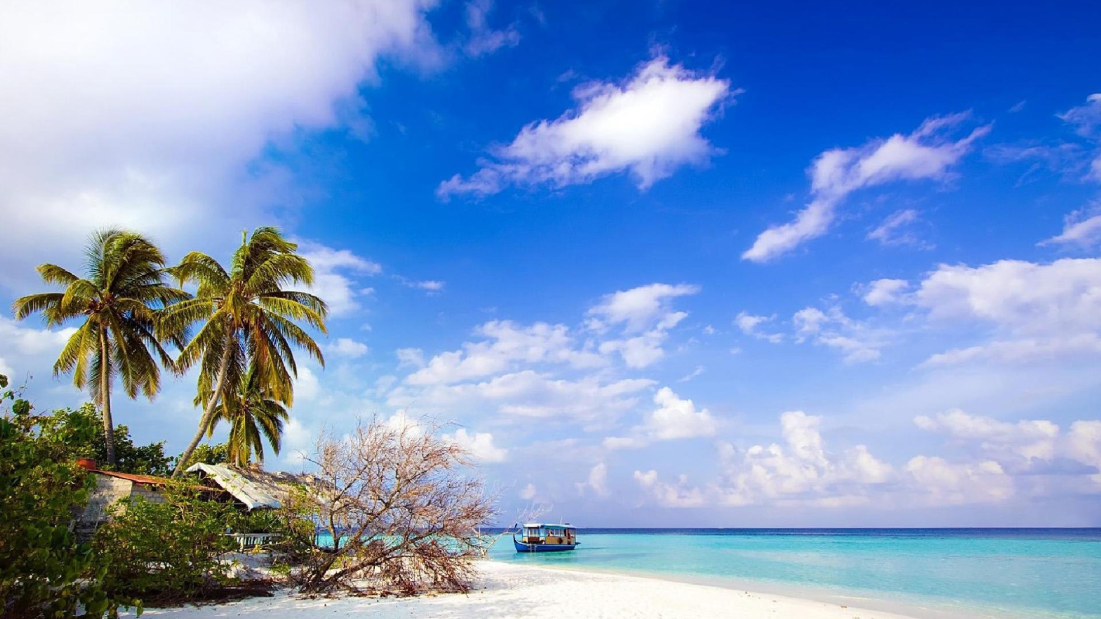 Природа острова Бали