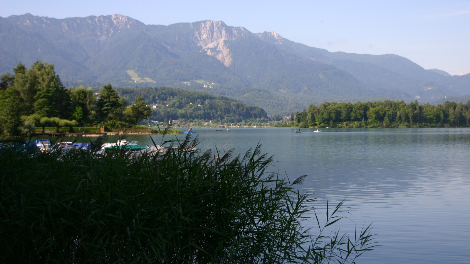 Камыши на озере на курорте Фаакер-Зее, Австрия