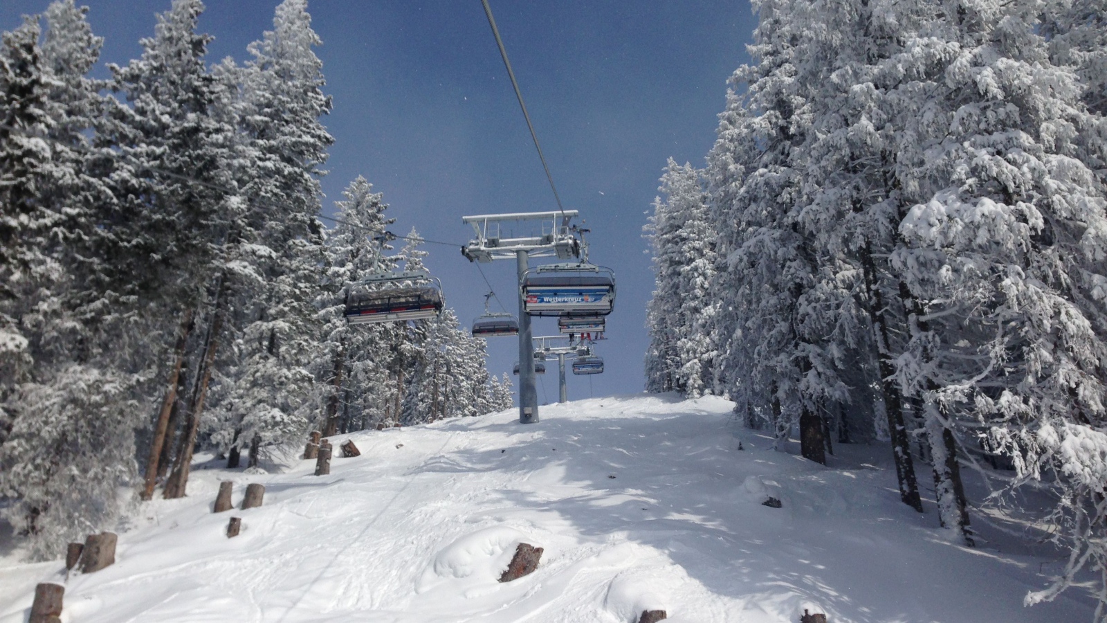 Заснеженные деревья на горнолыжном курорте Заальбах Хинтерглем, Австрия