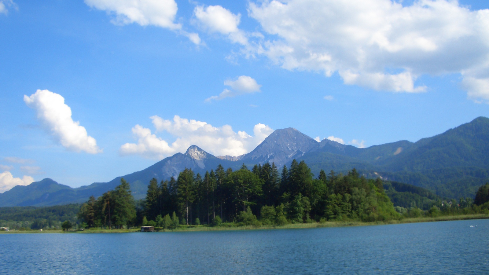 Деревья на берегу на курорте Фаакер-Зее, Австрия
