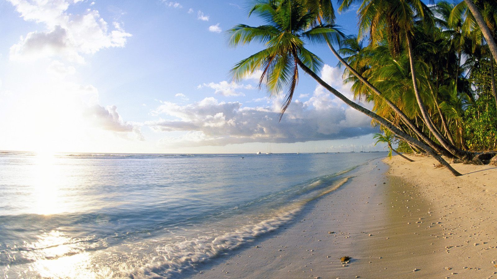 Знаменитый пляж Барбадоса