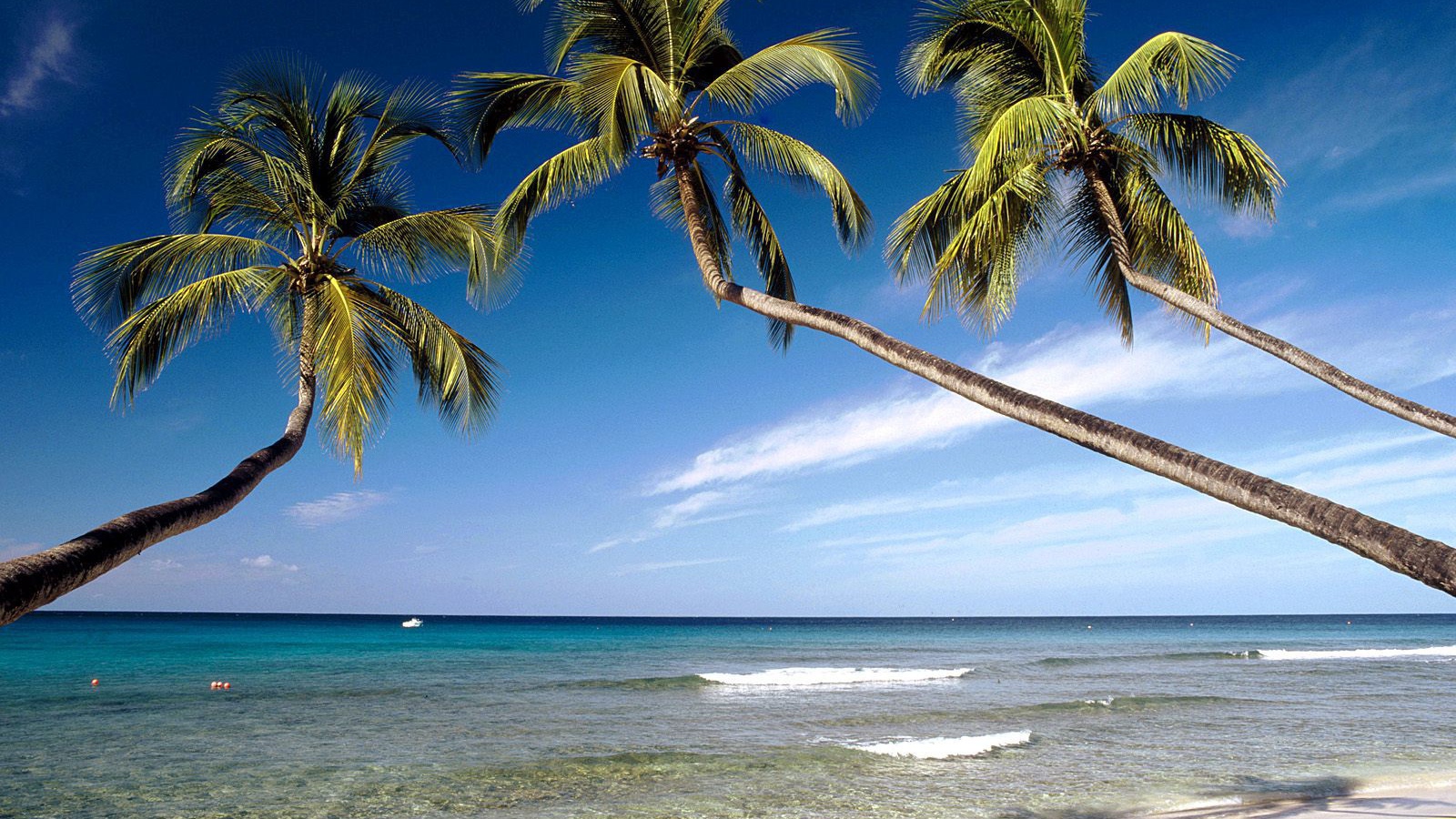 Красивое Барбадос