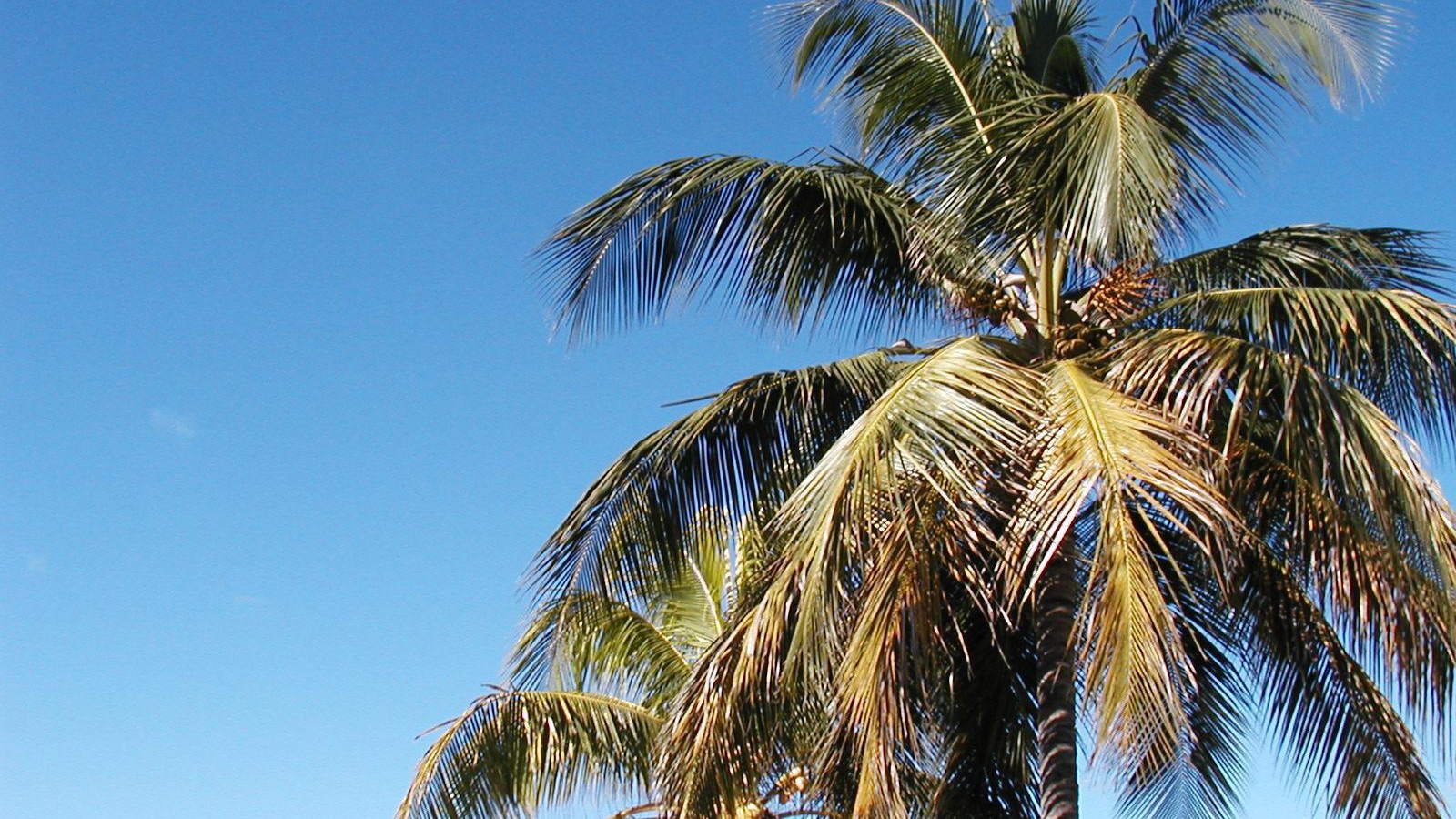 Замечательное место в Барбадос