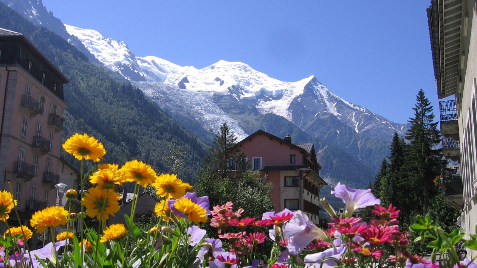 Цветы на курорте Шамони, Франция