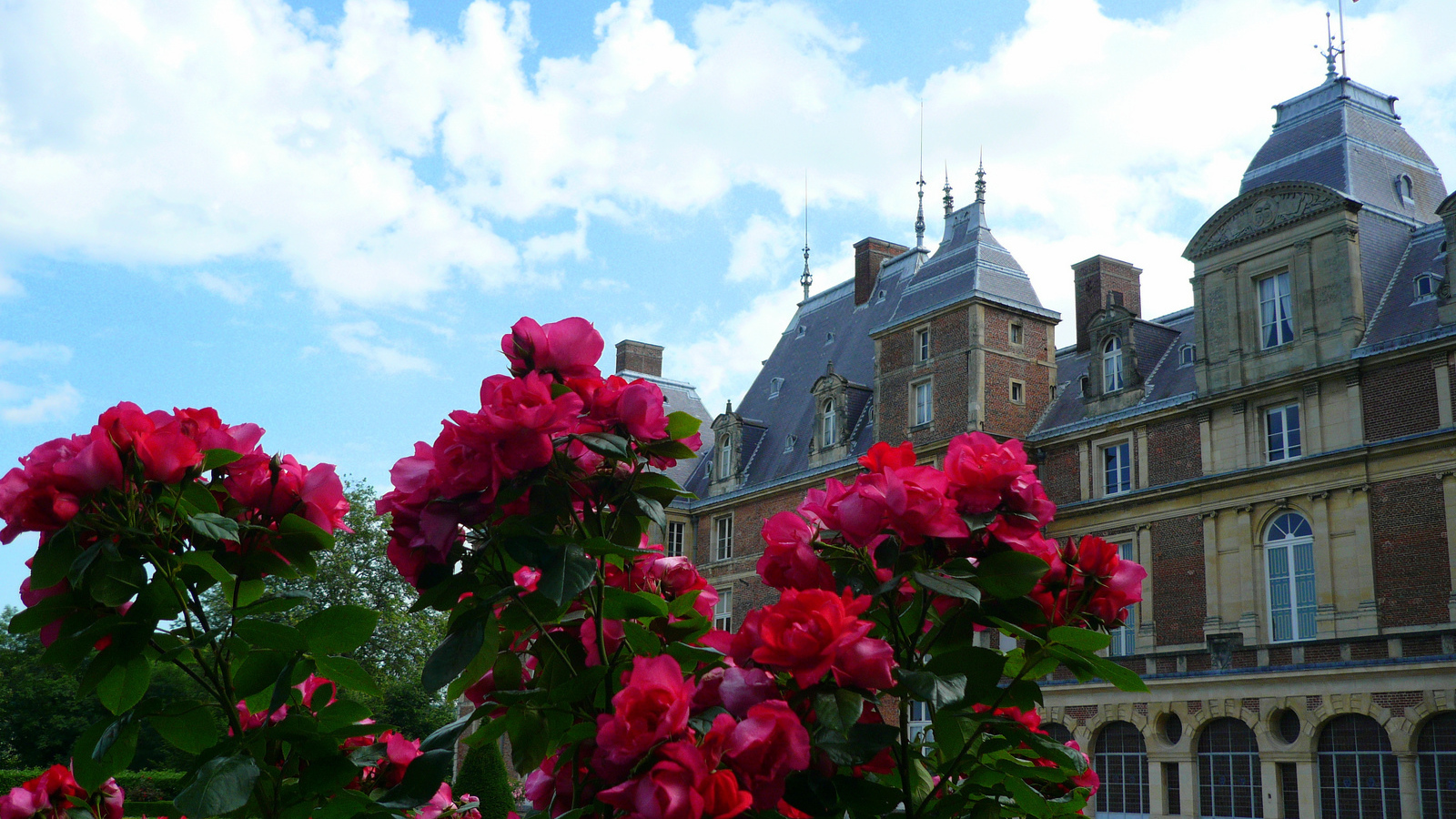 Цветы в Нормандии, Франция