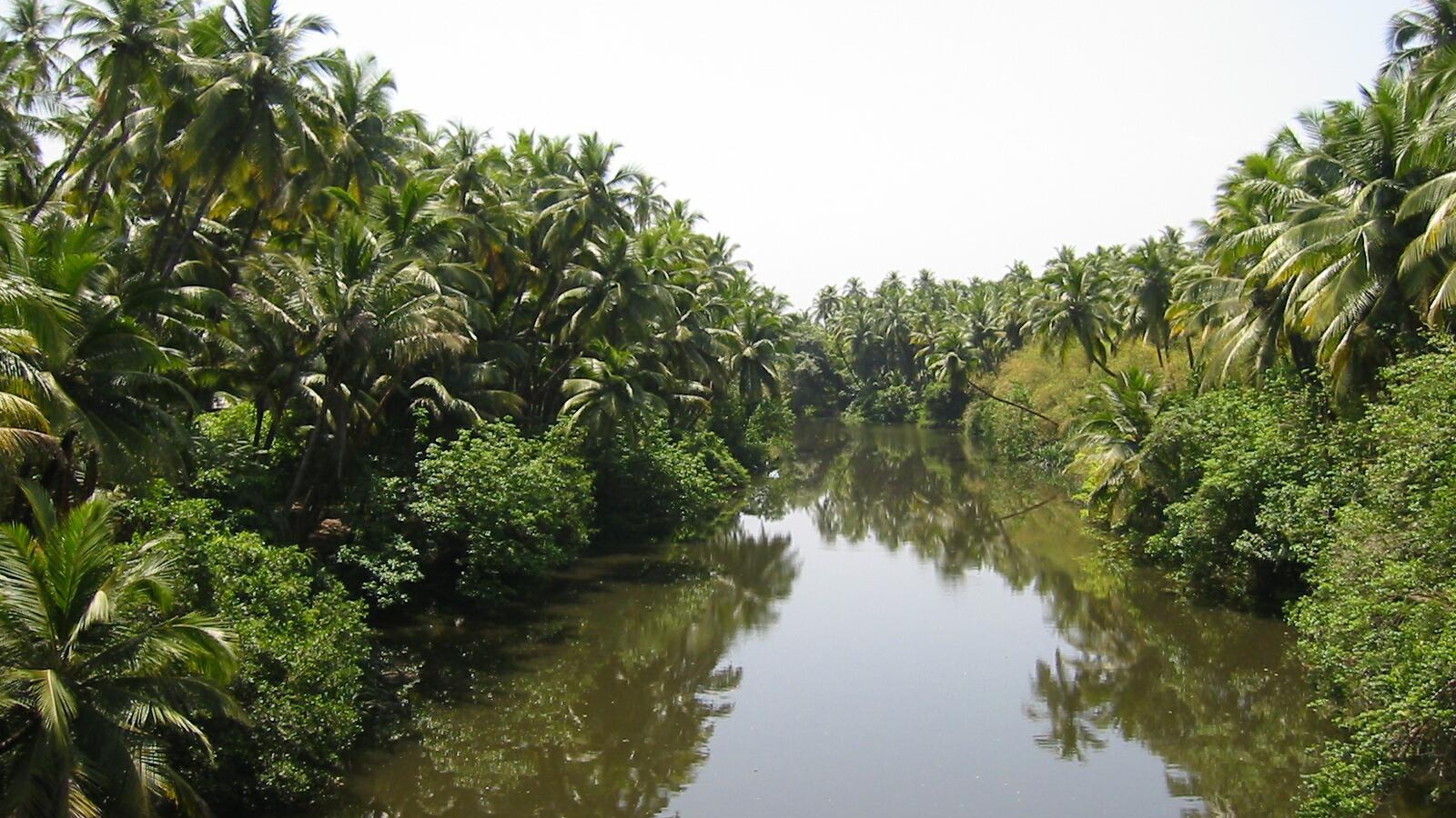 Красивая природа Гоа