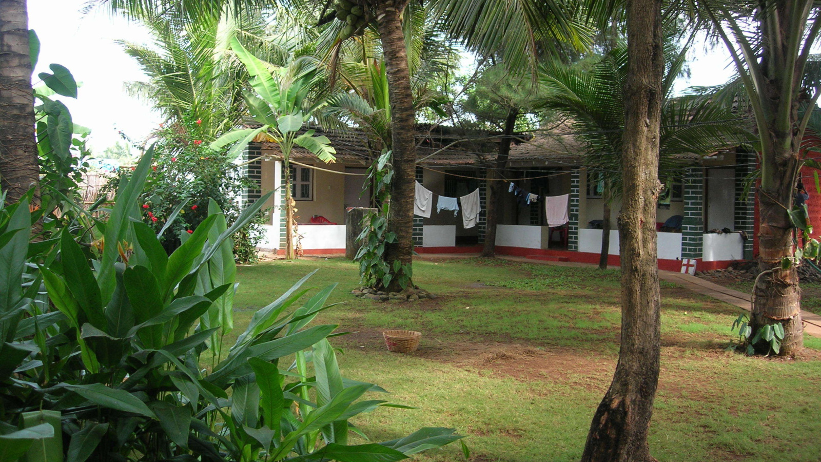 Красивые деревья в Бенаулиме