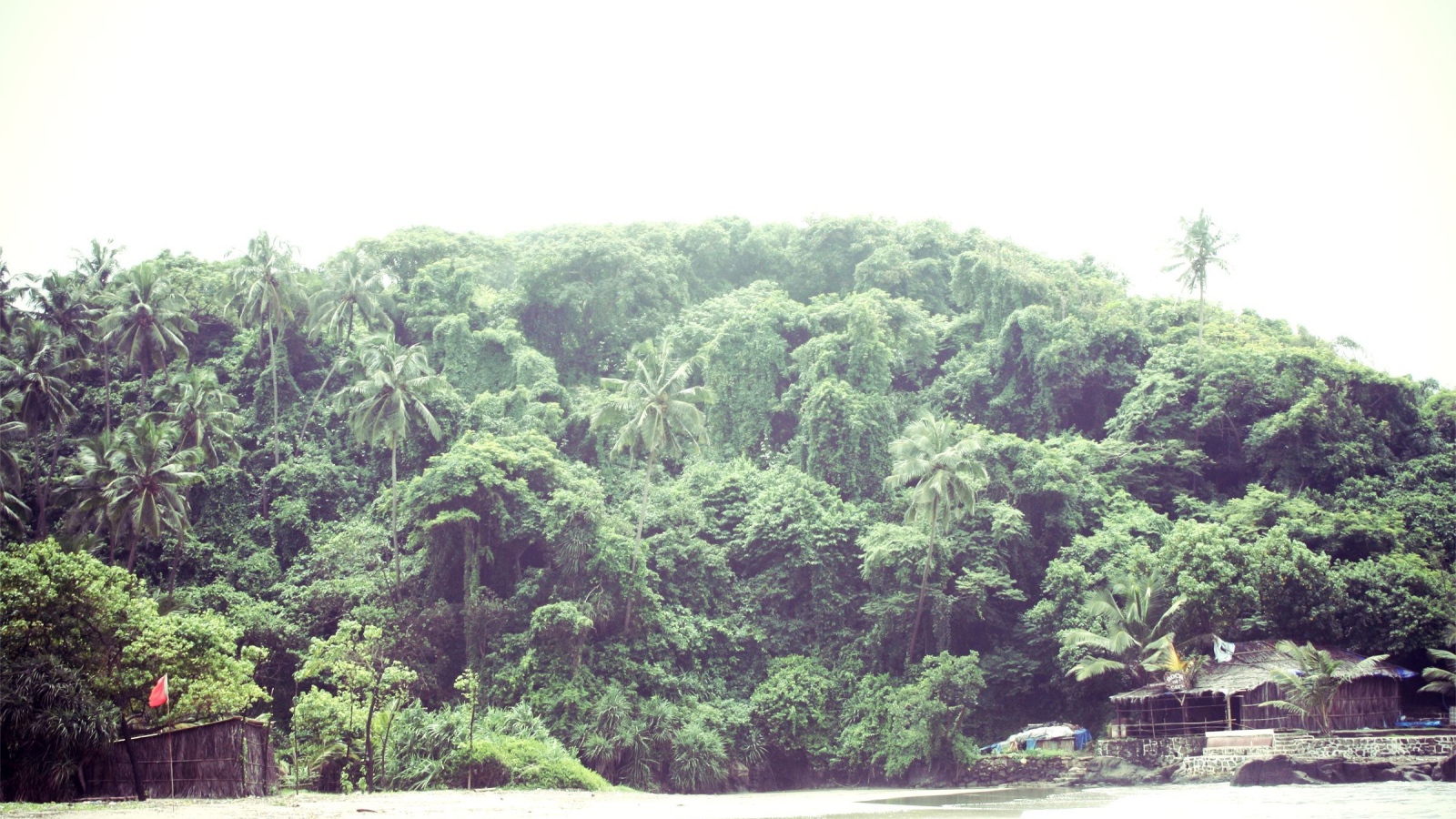 Природа в Вагаторе