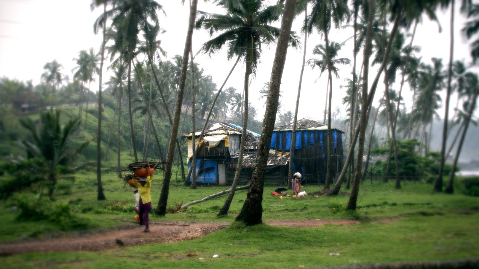 Красивый вид на Вагатор