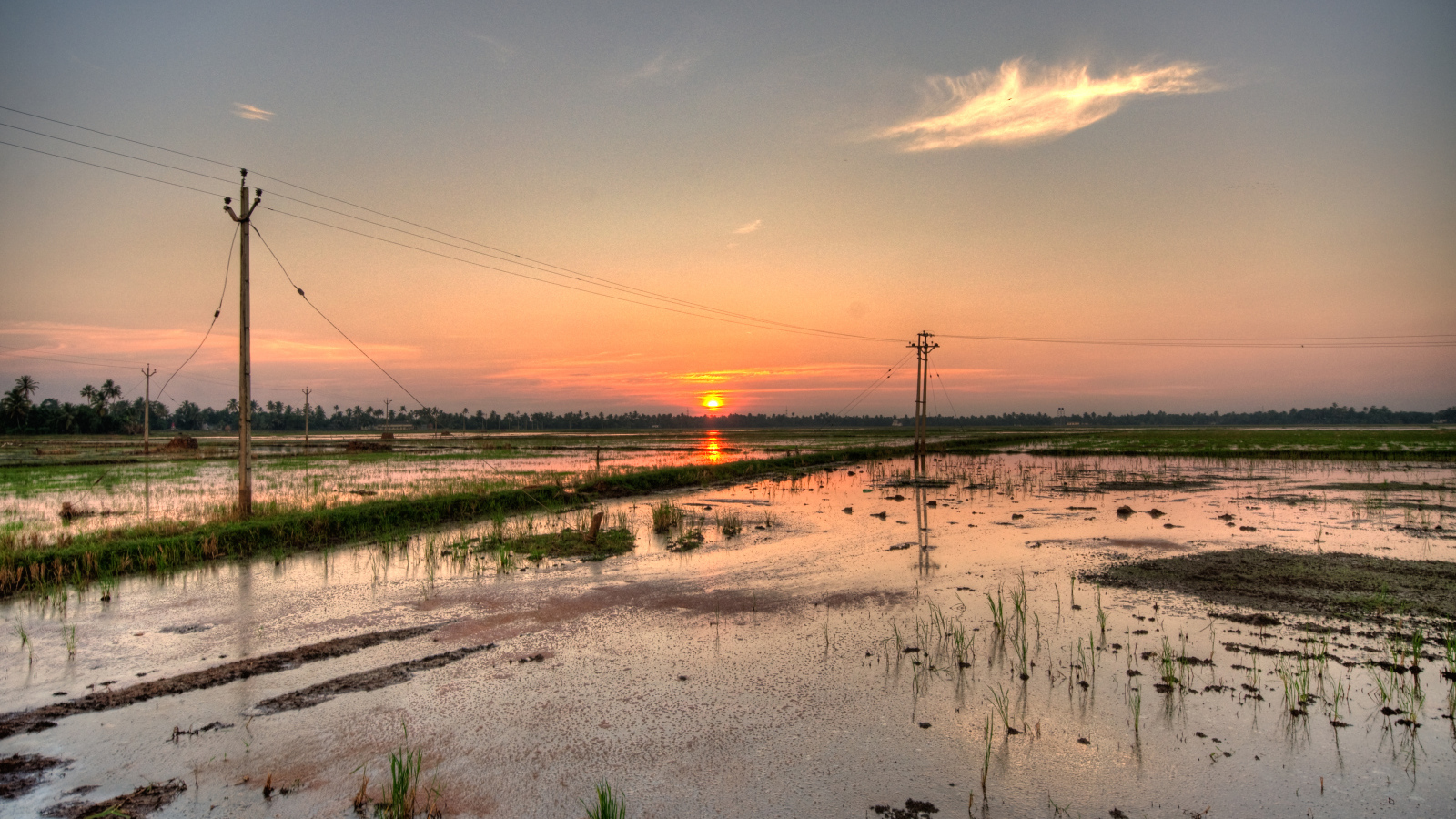 Водная местность в Алапуже