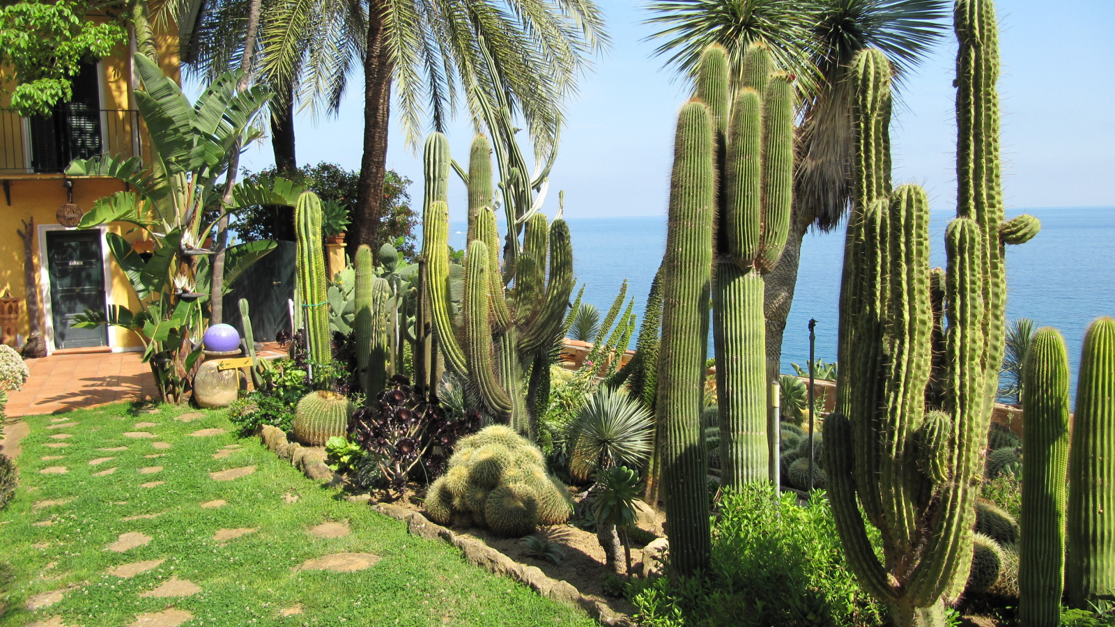 Кактусы на набережной на курорте Бордигера, Италия