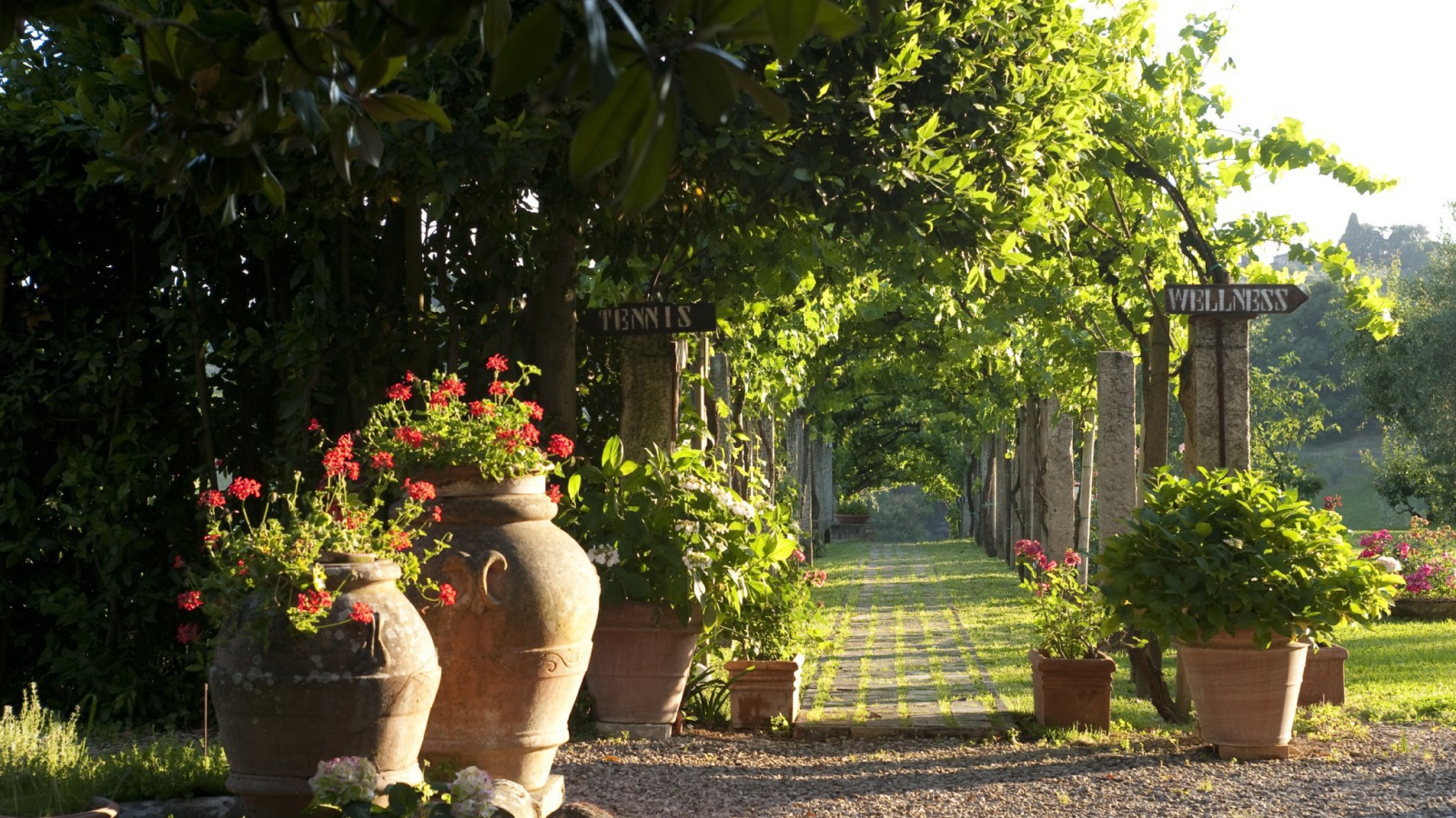 Зеленая аллея в Сиене, Италия
