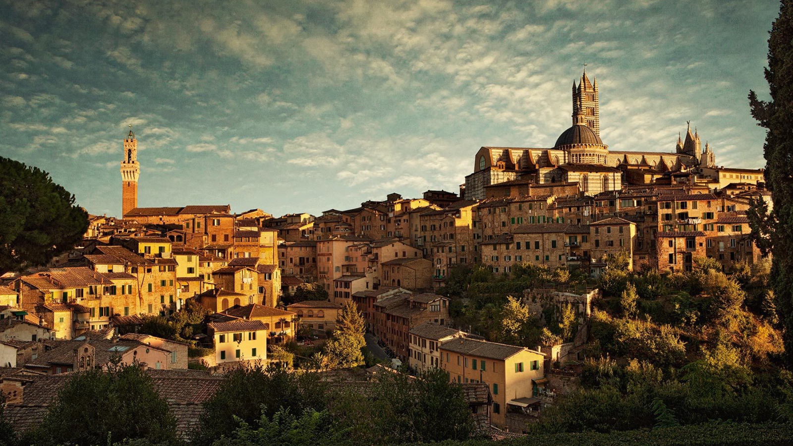 Панорама города в Сиене, Италия