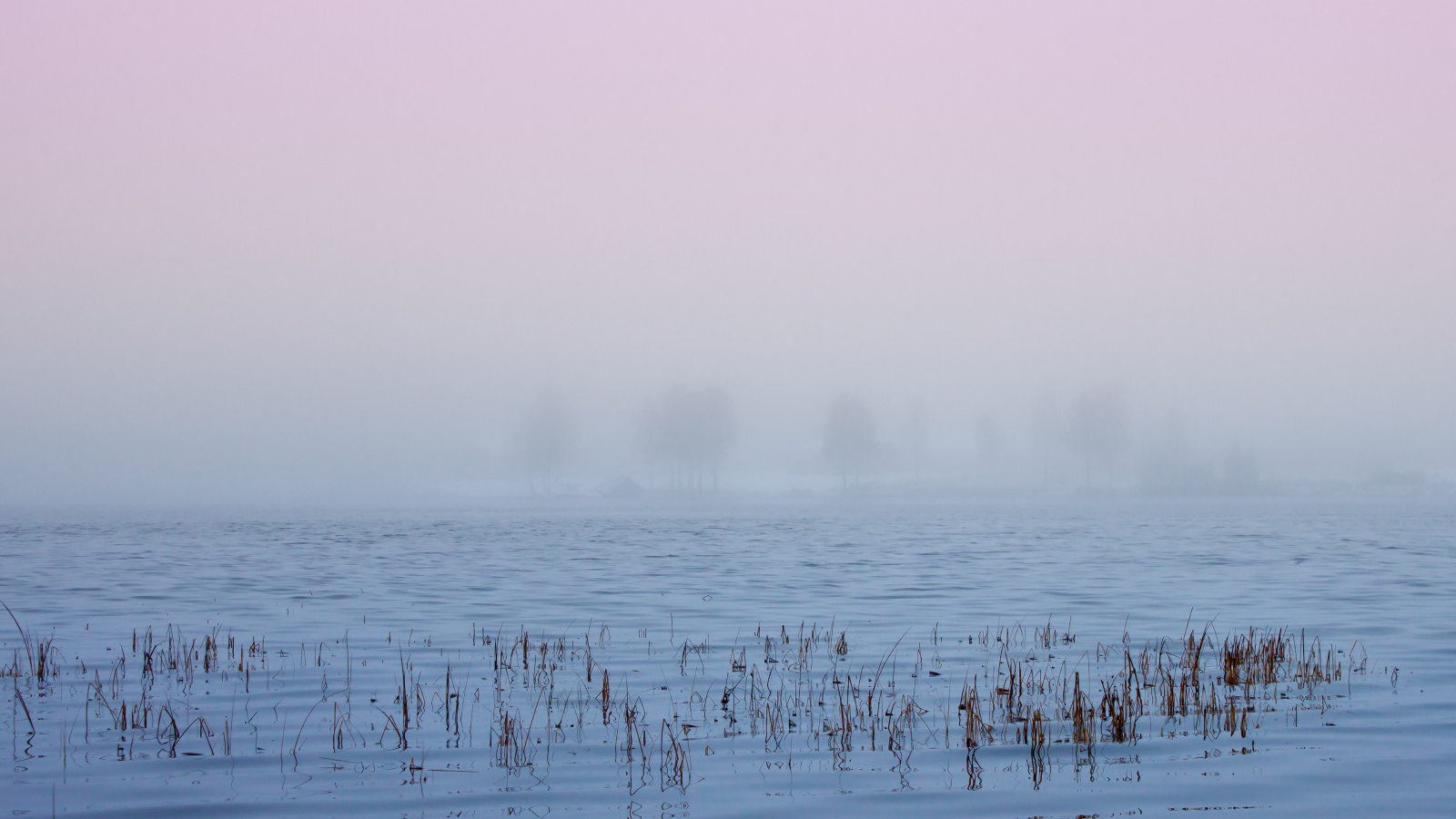Туман в Швеции