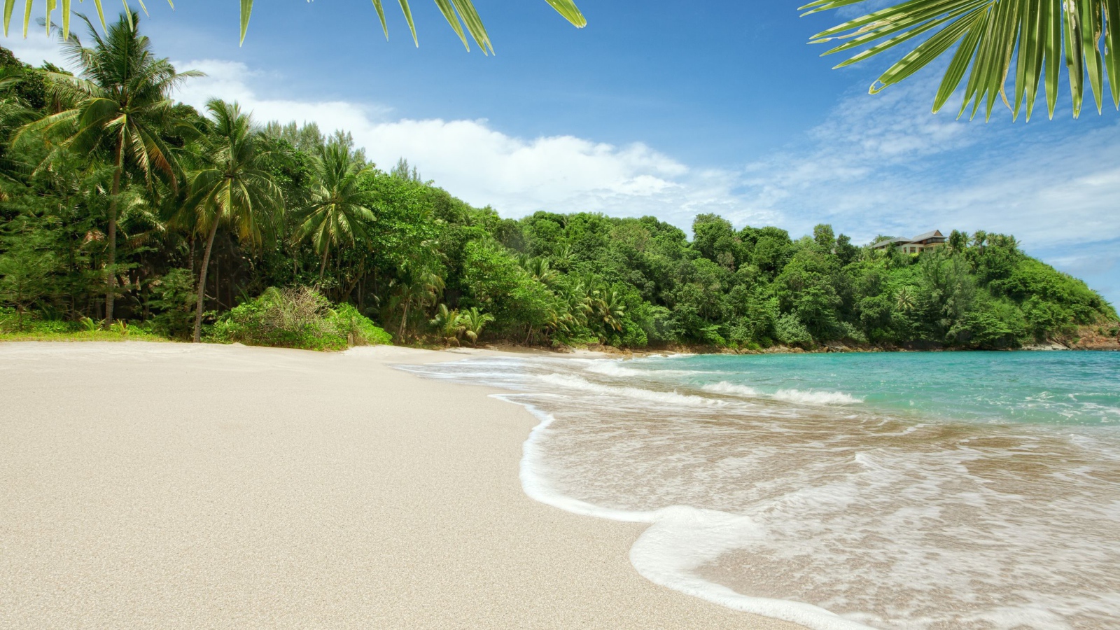 Пляж на острове Тао, Таиланд