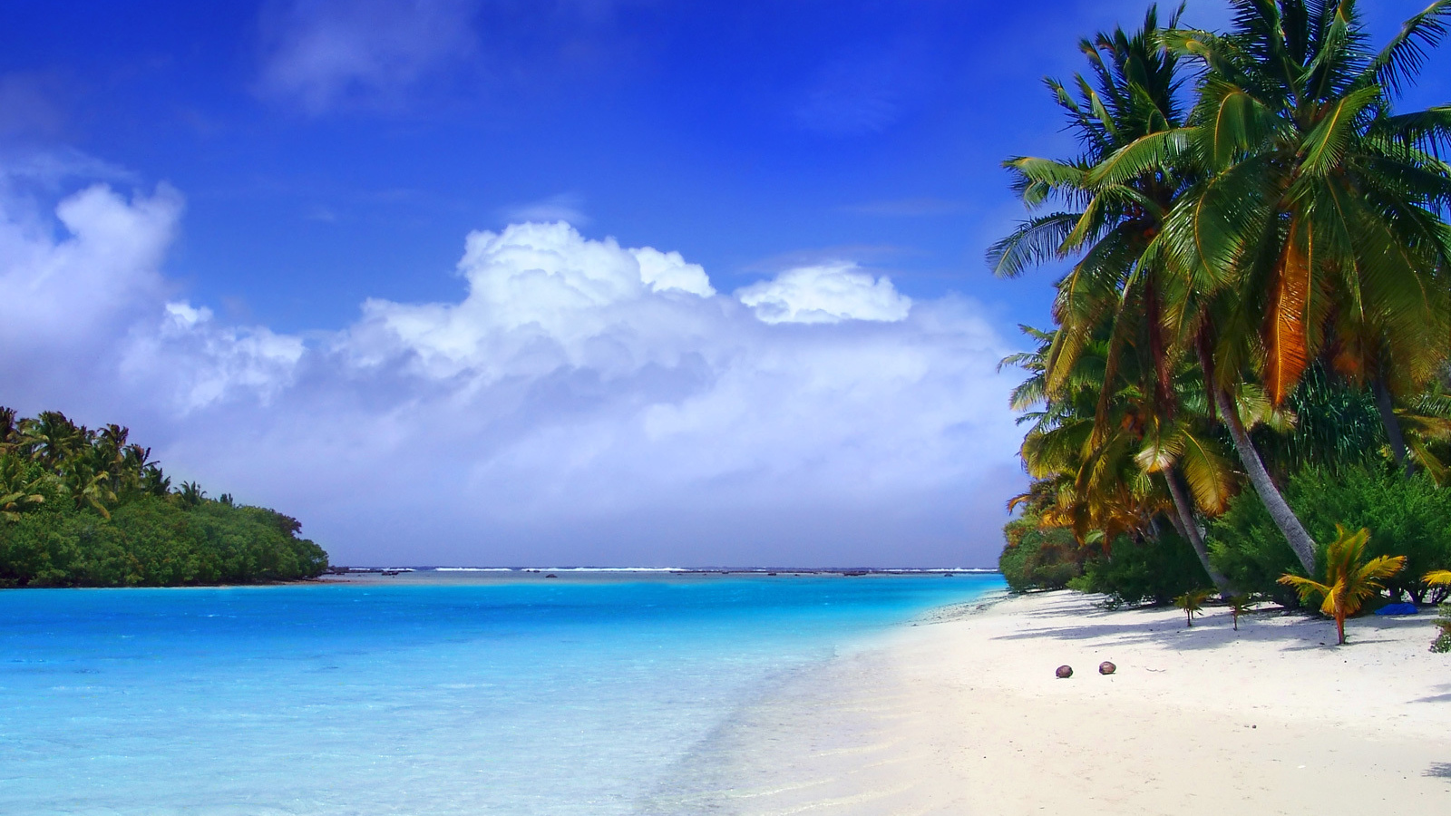 Пальмы на пляже в Пхукете, Таиланд