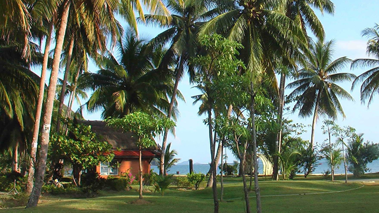 Пальмы на побережье на острове Чанг, Таиланд