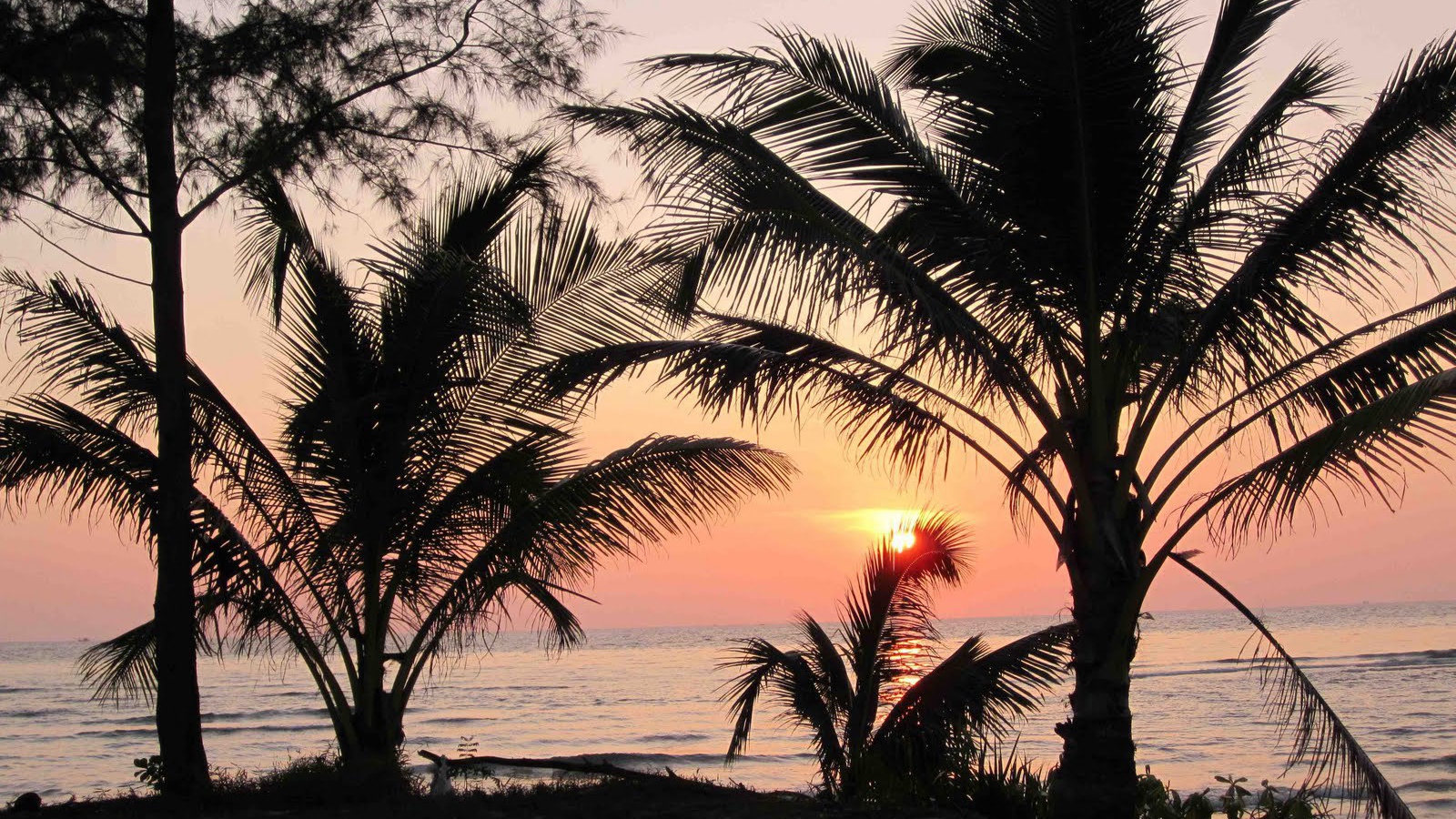 Закат среди пальм на острове Ко Куд, Таиланд